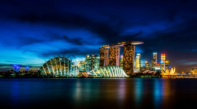 an amazing view of Singapore