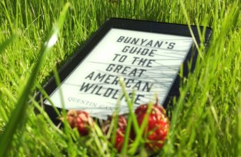 Bunyan's Guide to the Great American Wildlife
