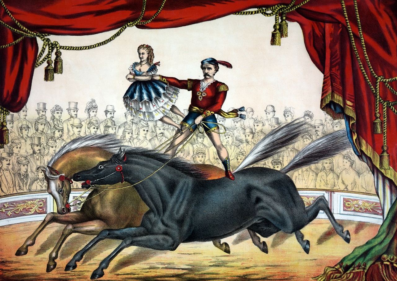 trotting horses with extended legs in a circus