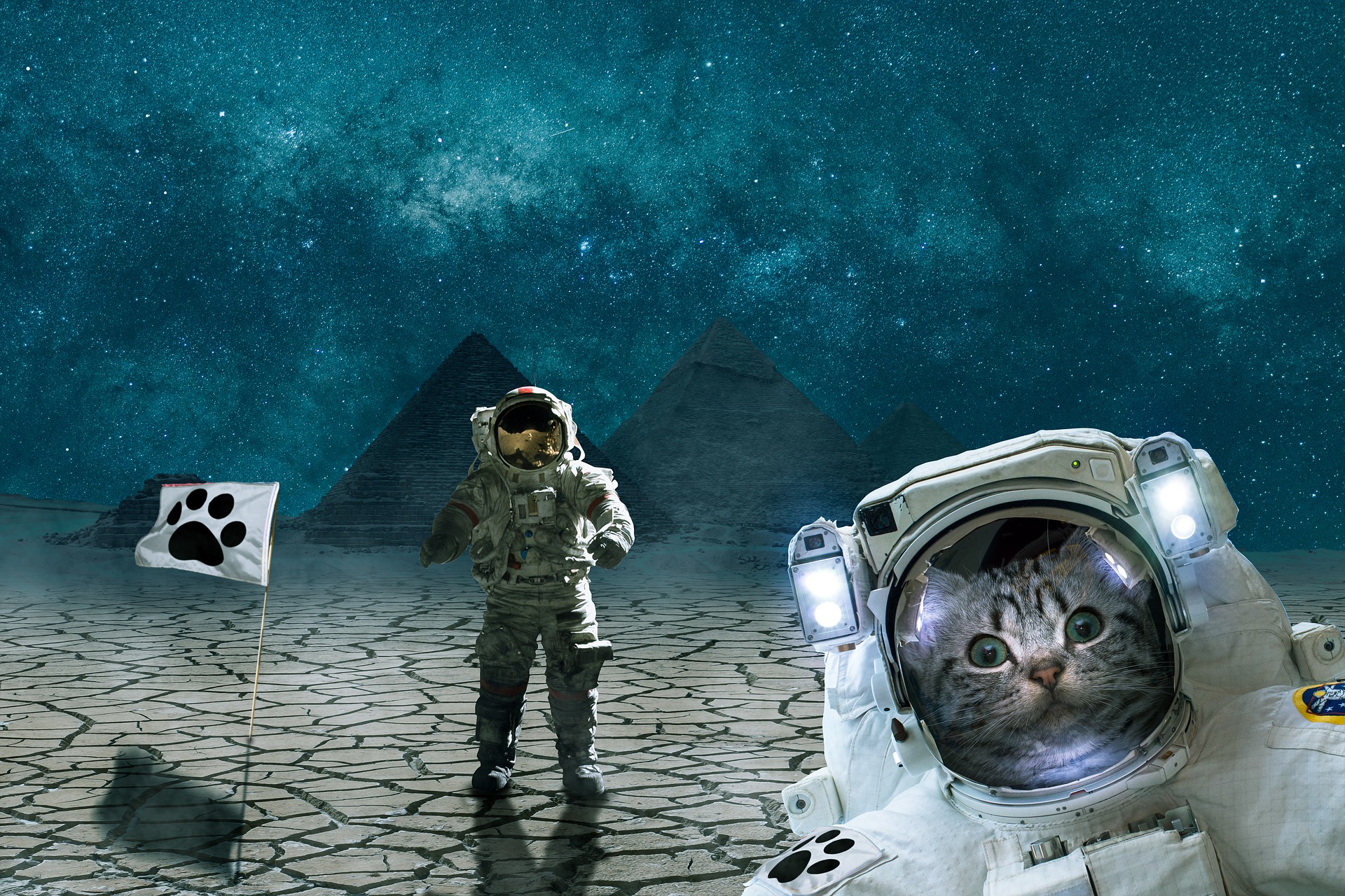 astronaut cat conquers space